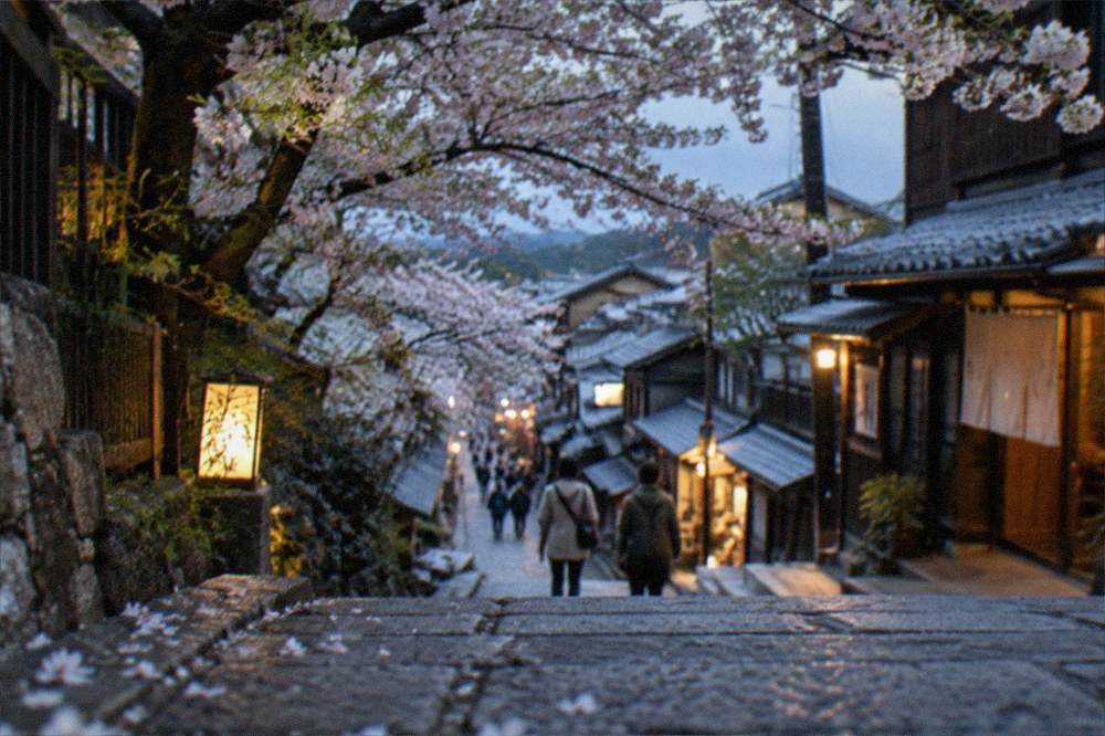 Cherry blossom branches in full bloom over a stone-paved slope street in Kyoto's Higashiyama district