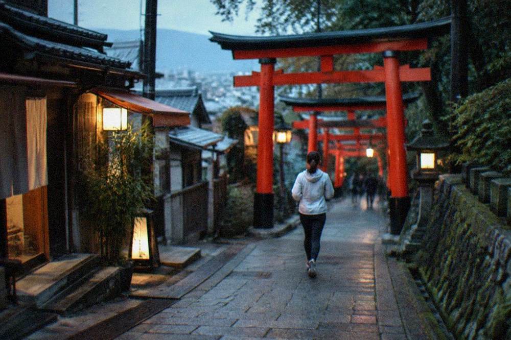 A quiet lane of vermilion torii gates on the lower slopes of Inariyama in early morning light